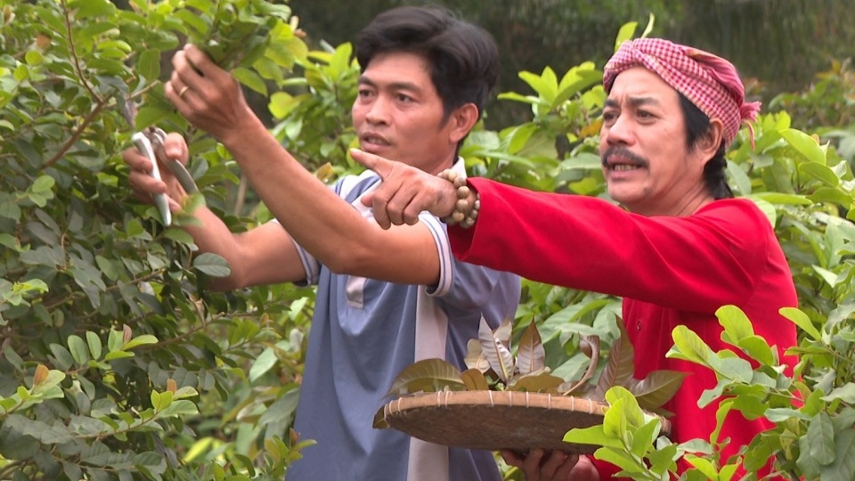 Nông dân Tây Ninh trồng loại rau chỉ nửa tốn nửa ngày công chăm là mọc tua tủa, hái đến đâu thương lái gom sạch: Thu nhập 20 triệu/tháng