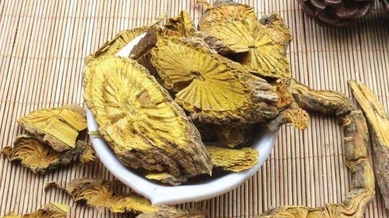 Hà Nội thu hồi khẩn lô dược liệu Hoàng Đằng do 'vi phạm chất lượng mức độ 1' sản xuất tại nhà máy ở KCN Minh Lãng, Thái Bình
