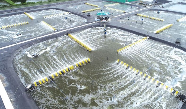 Báu vật dưới nước mang về tỷ đô cho Việt Nam đang đối diện 'dòng xoáy lớn'
