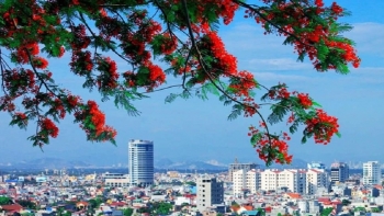 Một thành phố ở miền Bắc sẽ có Khu thương mại tự do