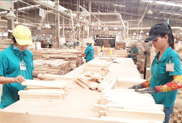 Hoa Kỳ đang điều tra một loạt sản phẩm gỗ, ván ép Việt Nam và có thể áp dụng đồng thời 3 loại thuế