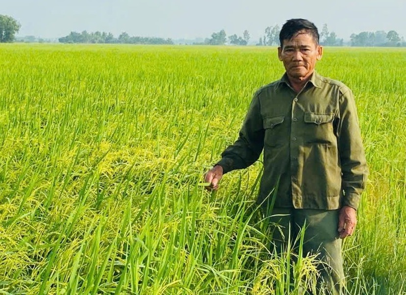 Nông dân Tây Ninh trồng thứ rau theo kiểu ‘độc lạ’, từng bị hoài nghi về sau cả xóm phải khen nức nở, thu nhập hiện tại rất cao
