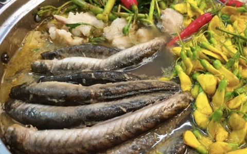 Từ 'cá nhà nghèo' thành đặc sản hút khách: Phơi khô bán 700.000 đồng/kg, dân phố thích mê vì vị ngon lạ