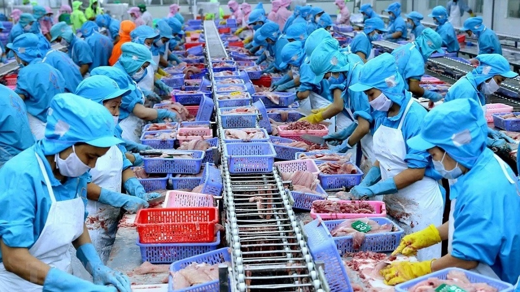 Thủy sản Việt Nam đang đứng ngoài 'bữa tiệc' tỷ đô Halal chỉ vì một con dấu