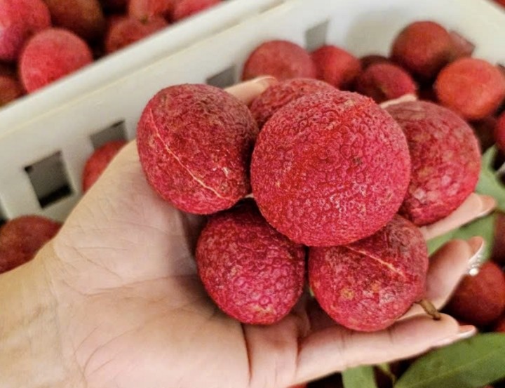 Xuất hiện hàng Việt đối đầu vải không hạt Trung Quốc, chất lượng một chín một mười, giá cũng 600.000 đồng/kg
