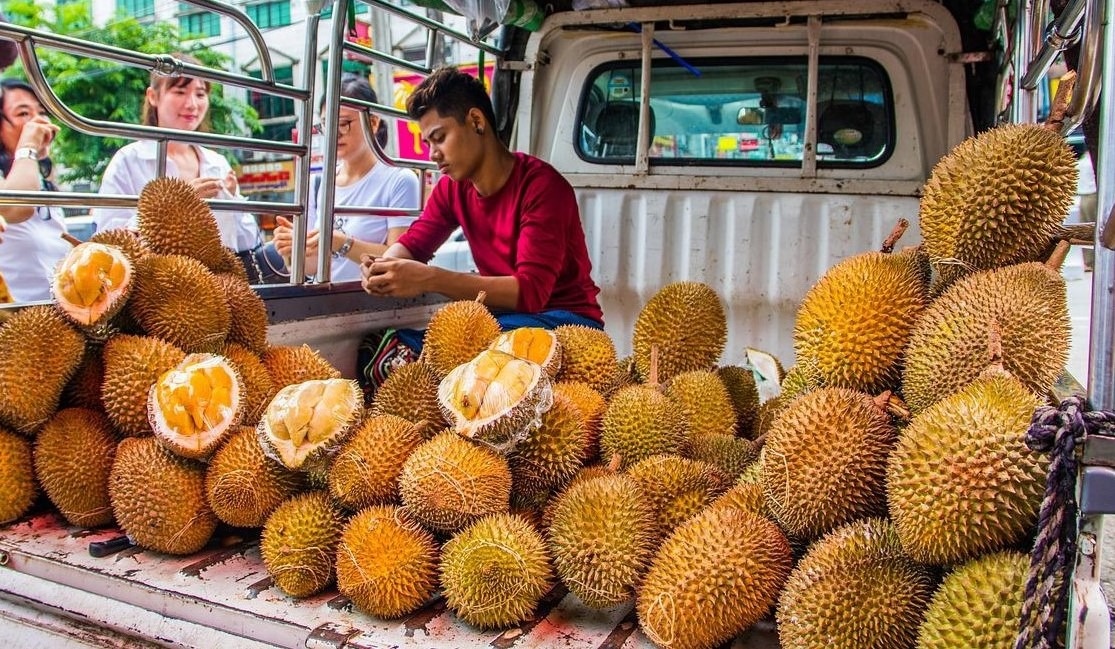 Một quốc gia ASEAN đang 'nuôi đội quân sầu riêng mới', cạnh tranh gay gắt với Thái Lan và Việt Nam tại Trung Quốc