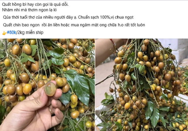 Loại quả nhỏ xíu, vị chua ngọt từng bị ngó lơ nay 'lên đời' thành vua trái cây mùa hè, giá gây bất ngờ