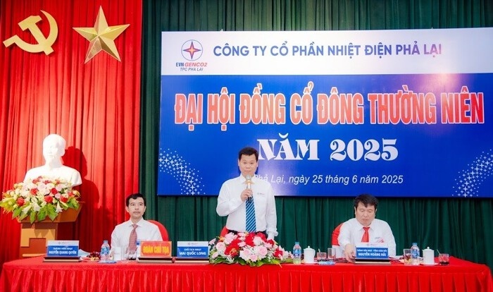 Cổ đông REE gây sức ép cải tổ chiến lược điện, phủ quyết nhiều nội dung: Lãnh đạo PPC ‘án binh bất động’