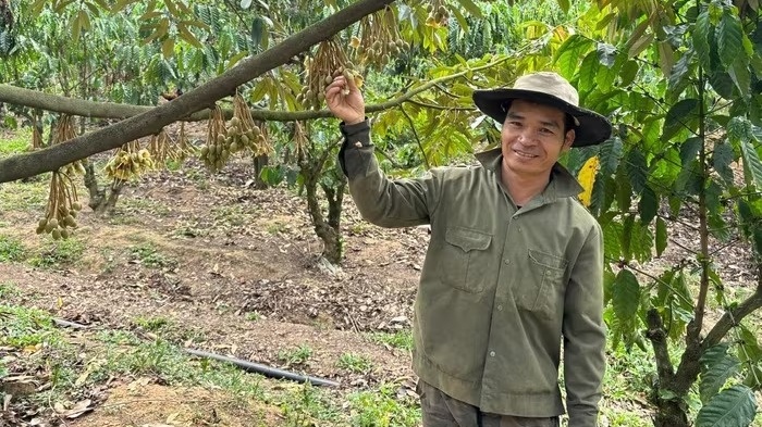 Nông dân Lâm Đồng trồng ‘cây tỷ đô’ theo kiểu ngược đời, giờ được vinh danh, sống nhàn tênh thu nhập 4 tỷ/năm