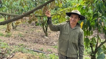 Nông dân Lâm Đồng trồng ‘cây tỷ đô’ theo kiểu ngược đời, giờ được vinh danh, sống nhàn tênh thu nhập 4 tỷ/năm