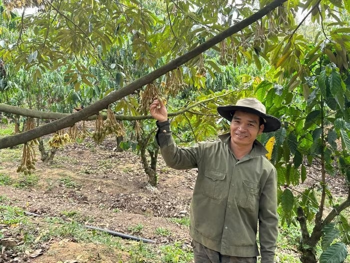 Nông dân Lâm Đồng trồng ‘cây tỷ đô’ theo kiểu ngược đời, giờ được vinh danh, sống nhàn tênh thu nhập 4 tỷ/năm