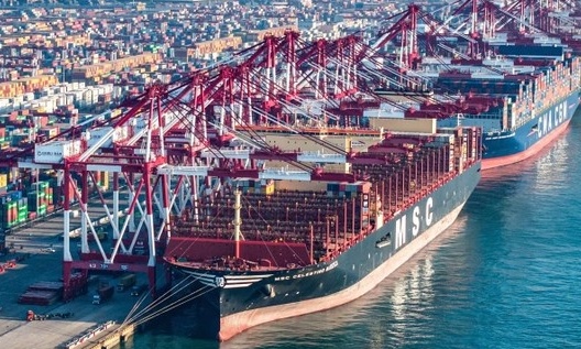 Giữa tâm bão thuế quan, WTO phát thông báo quan trọng về thương mại toàn cầu