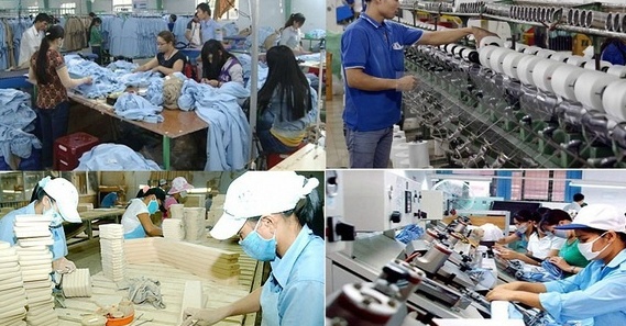 Phấn đấu năm 2025, tỷ trọng đóng góp của khu vực kinh tế tư nhân vào GDP đạt 51-52%