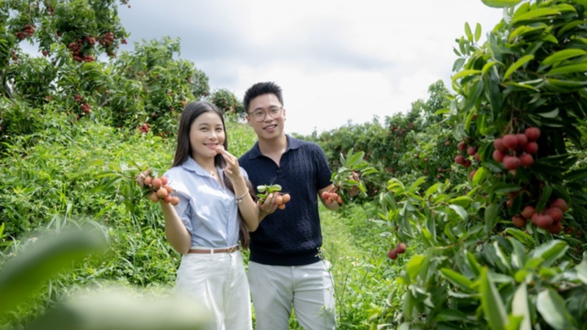 Livestream giữa vườn vải, 54 tấn hàng 'cháy sạch' sau 6 tiếng: Trái ngọt từ đơn hàng mang tên hạnh phúc