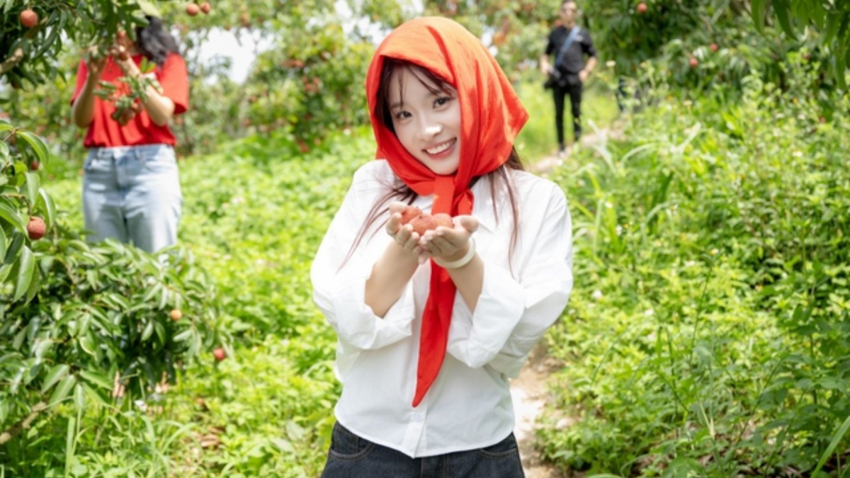 Livestream giữa vườn vải, 54 tấn hàng 'cháy sạch' sau 6 tiếng: Trái ngọt từ đơn hàng mang tên hạnh phúc