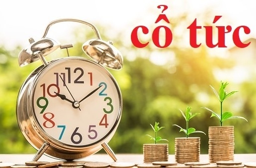 Lãi lớn trên 1.900 tỷ, một doanh nghiệp logistics dành 840 tỷ đồng chia cổ tức tỷ lệ 20%