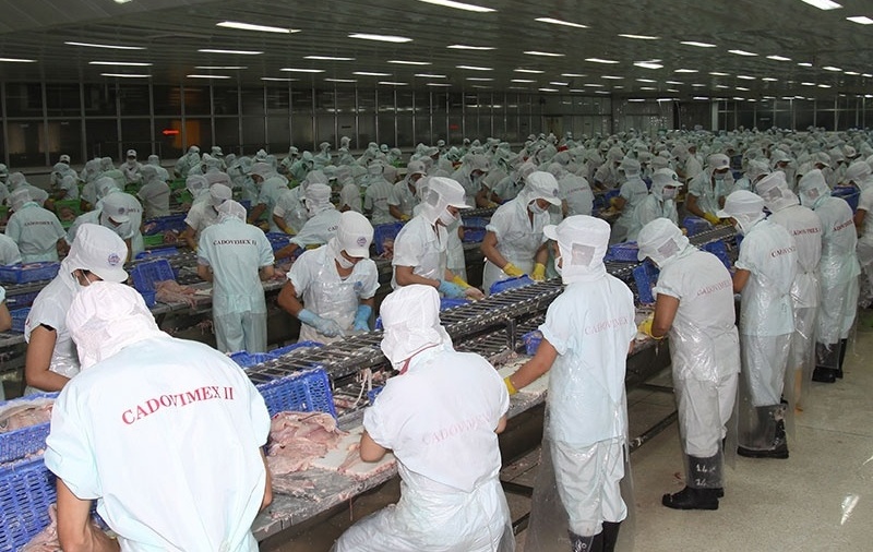 Doanh nghiệp thủy sản 'rỗng ruột' sau 10 năm, loạt ngân hàng dài cổ chờ thu hồi vốn