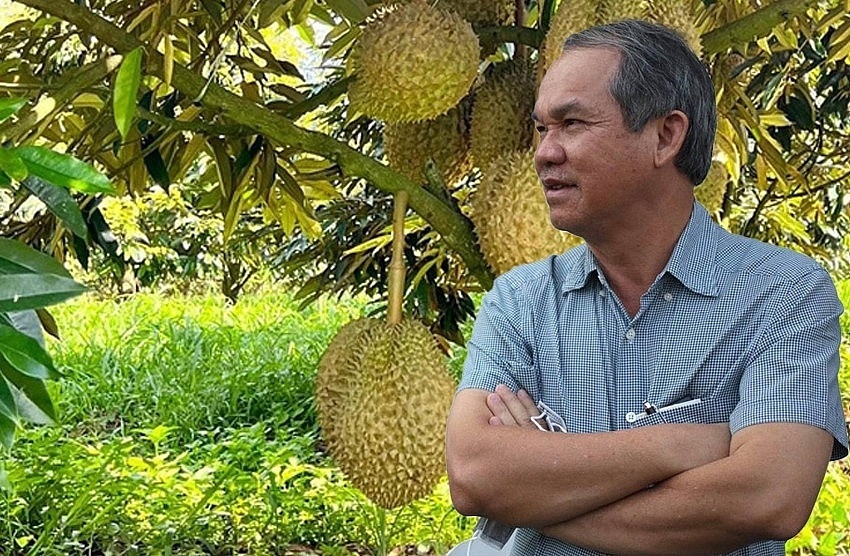 Bầu Đức vừa dứt lời, giá sầu đã rớt thảm: Chuyện HAGL ‘bán 20.000 đồng/kg vẫn có lãi’ còn đúng?