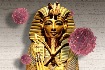 Từng bị gắn với 'lời nguyền Pharaoh', loài nấm tử thần này bất ngờ hé lộ khả năng tiêu diệt tế bào ung thư