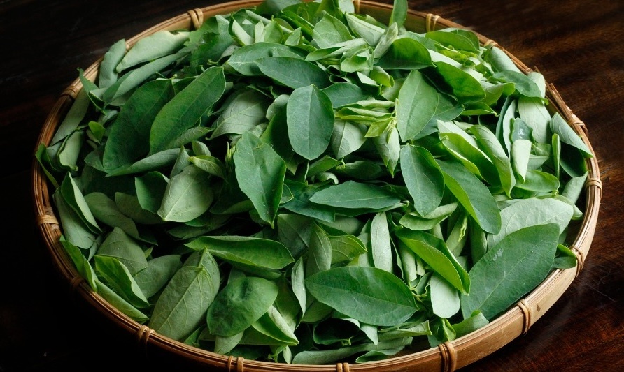 Nông dân TP.HCM trồng thứ rau chỉ cần tưới ít nước mọc tua tủa, mùa hè ăn thanh mát: Chỉ 4 sào đã đổi đời, tiền tiêu rủng rỉnh