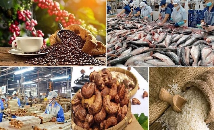 Xuất khẩu nông sản bứt tốc: Tổng kim ngạch đạt gần 34 tỷ USD trong nửa đầu năm, tăng 15,5% so với cùng kỳ