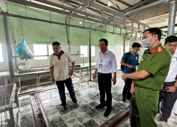 Vụ thịt heo C.P. Việt Nam: Nhân viên đóng dấu kiểm dịch sai bị kỷ luật, chuyển nhiệm vụ công tác