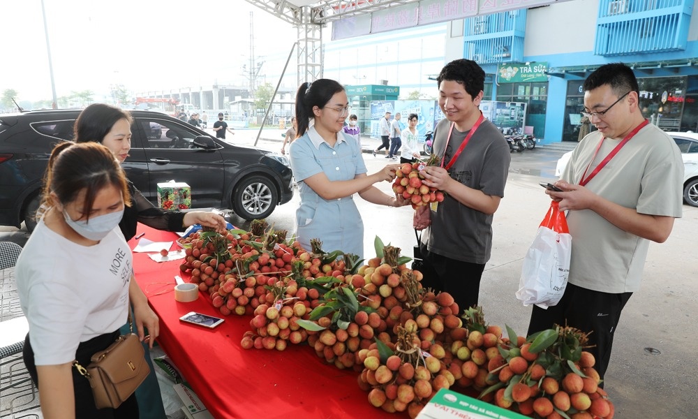 FDI "giải cứu" vải thiều Bắc Ninh: Mỗi ngày tiêu thụ cả chục tấn ngay trong khu công nghiệp