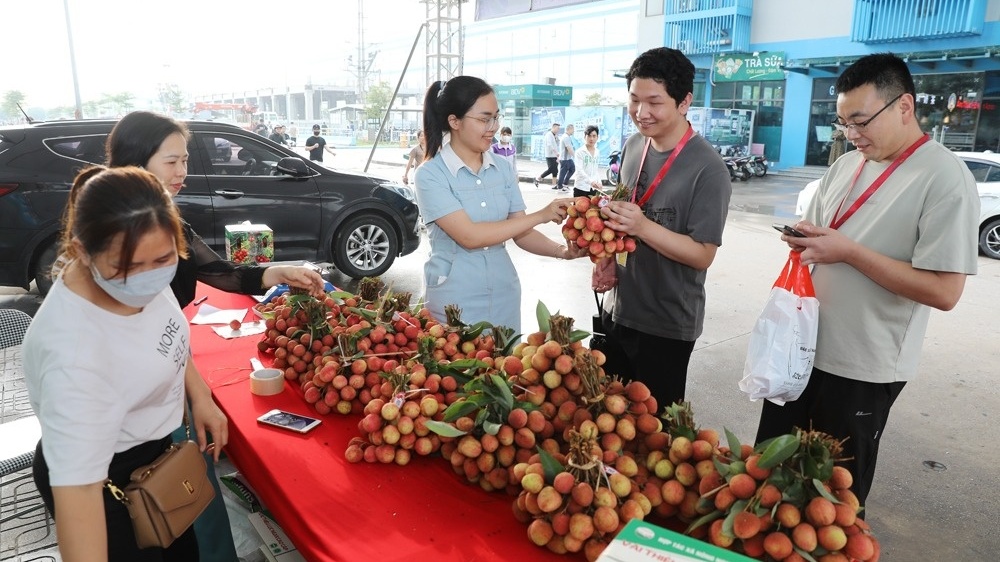 FDI 'giải cứu' vải thiều Bắc Ninh: Mỗi ngày tiêu thụ cả chục tấn ngay trong khu công nghiệp
