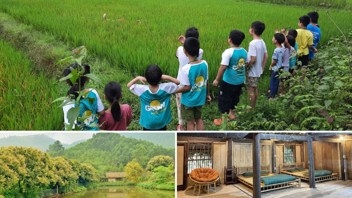 Rời VTV, từ bỏ sự nghiệp giảng dạy, MC Minh Trang gây ấn tượng khi lập mô hình trại hè triệu đô giữa núi rừng