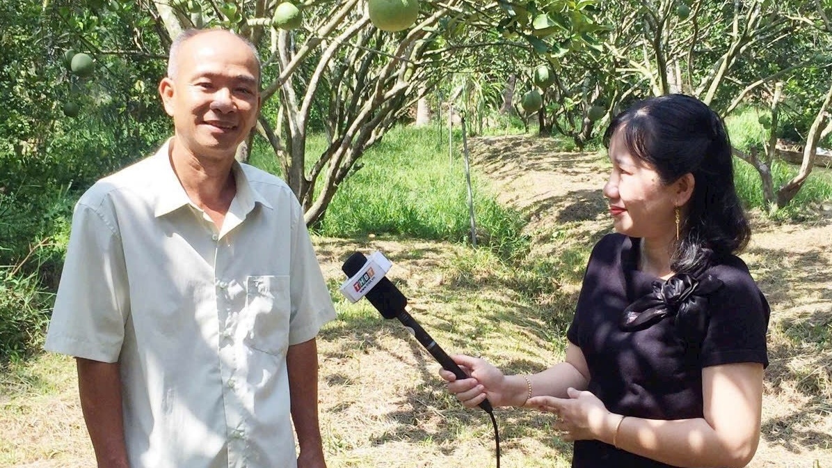 Nông dân Vĩnh Long nhổ lúa, trồng cây ra trái quanh năm, Trung Quốc rất chuộng: Thu nhập 1,2 tỷ đồng/năm