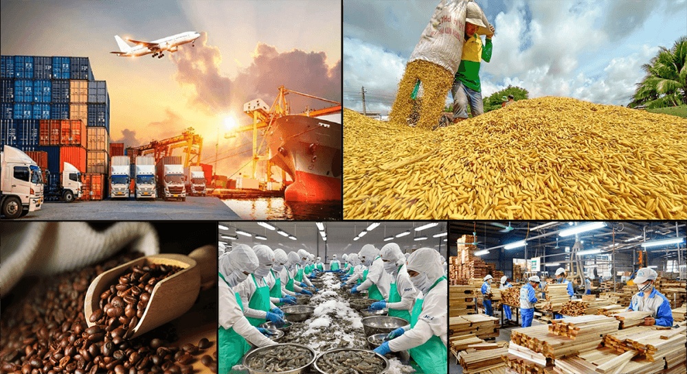 Xuất khẩu Việt Nam vừa lập kỳ tích giữa 'bão' kinh tế toàn cầu