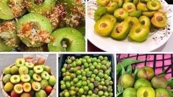 'Mận róc hạt Sa Pa' đang bán tràn lan khắp chợ với giá 25.000 đồng/kg có nguồn gốc từ đâu?'