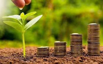 Điểm danh 4 doanh nghiệp sắp trả cổ tức bằng tiền tỷ lệ trên 30%, cao nhất lên tới 110%