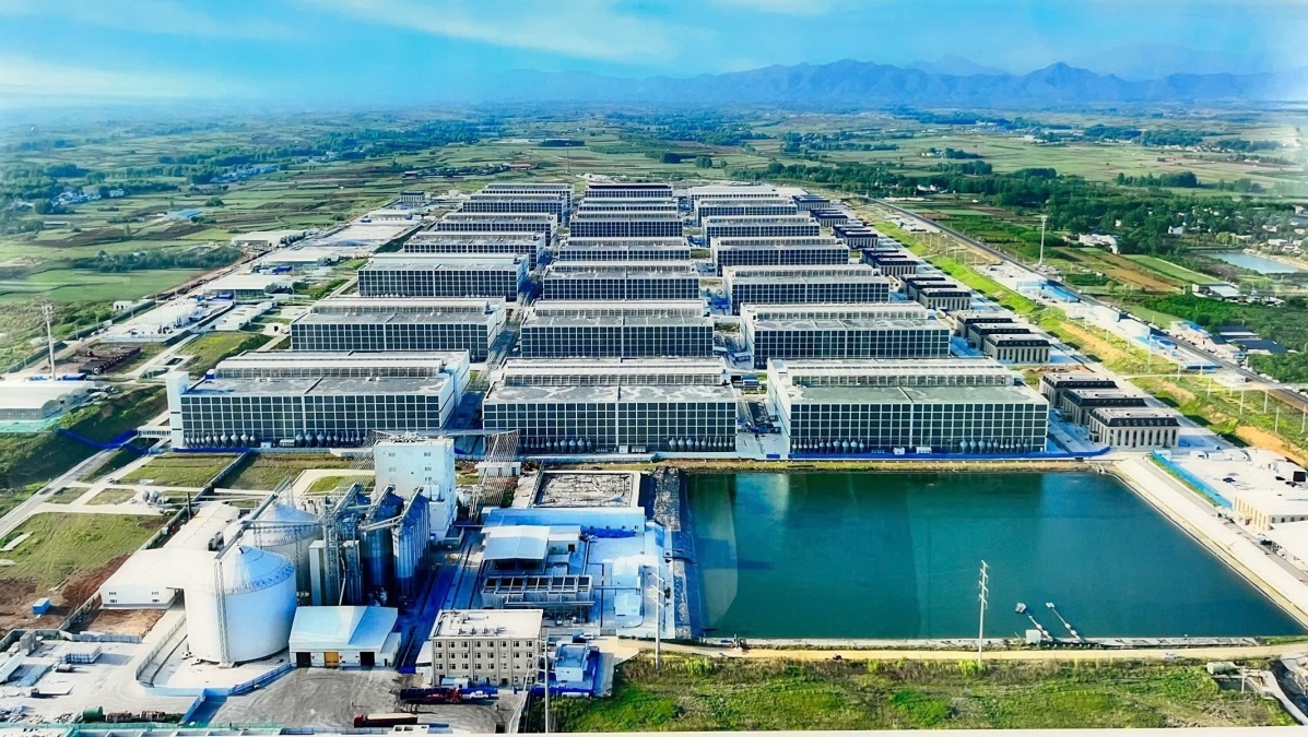 Dự án 'chung cư nuôi heo' đầu tiên tại Việt Nam được phê duyệt, sao chép mô hình của Trung Quốc