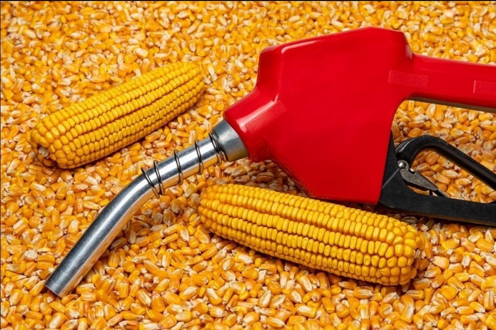 Gặp Thủ tướng, doanh nghiệp Brazil chuyên sản xuất ethanol từ ngô đề nghị hợp tác chiến lược