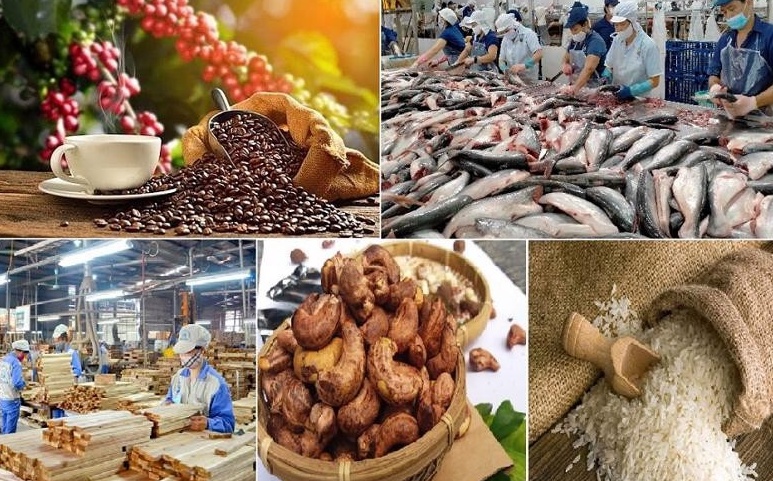 Xuất khẩu nông sản Việt Nam lập kỳ tích: 3 mặt hàng vượt 5 tỷ USD, xuất khẩu ‘vàng nâu’ đạt cột mốc chưa từng có