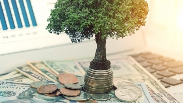 Lịch chốt quyền nhận cổ tức bằng tiền của 6 doanh nghiệp, cao nhất 22%