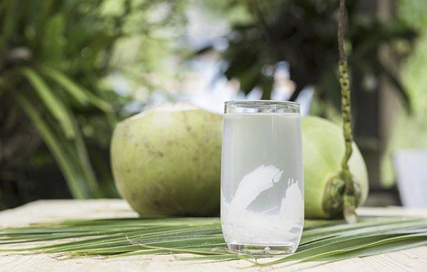 Việt Nam sở hữu 'báu vật trời ban' khiến Mỹ, Trung Quốc mê mẩn, trở thành ngôi sao xuất khẩu mới: Thu về 216 triệu USD chỉ sau 5 tháng, nước ra có diệ