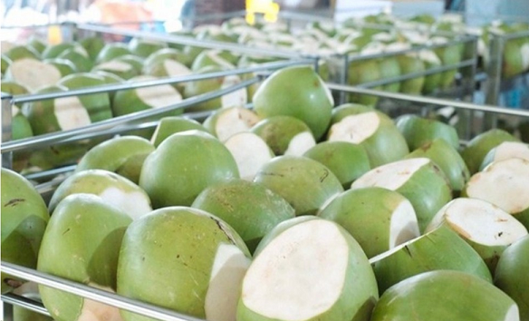 Việt Nam sở hữu 'báu vật trời ban' khiến Mỹ, Trung Quốc mê mẩn, trở thành ngôi sao xuất khẩu mới: Thu về 216 triệu USD chỉ sau 5 tháng, nước ra có diệ