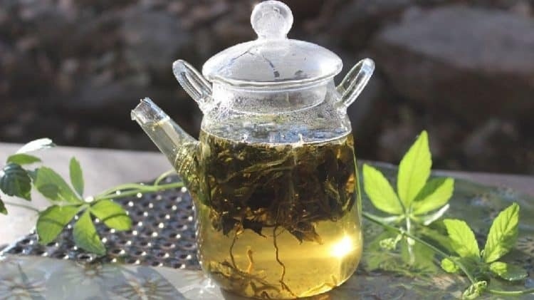 Bất ngờ trước công dụng của 'nhân sâm phương Nam', uống đều đặn giúp gan khỏe mạnh, chống lão hóa gấp 8 lần trà xanh, hàng tươi chỉ từ 5.000 đồng/kg