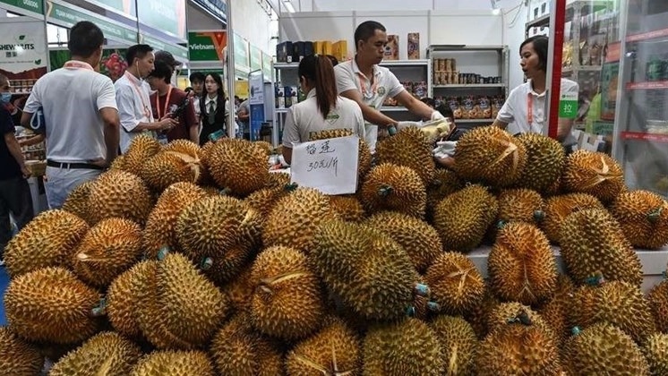 112 trang trại của láng giềng Việt Nam được xuất khẩu sầu riêng sang Trung Quốc