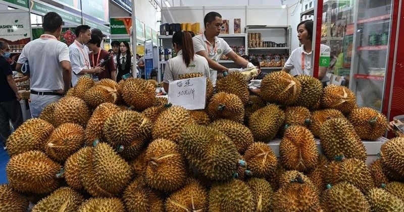 112 trang trại của láng giềng Việt Nam được xuất khẩu sầu riêng sang Trung Quốc