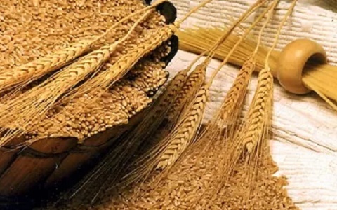Hàng trăm nghìn tấn 'hạt vàng' từ Nga ồ ạt tràn vào Việt Nam: Nước ta tiêu thụ 'không kém cạnh ai', là thứ cả thế giới đều cần