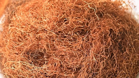 Từng bị vứt bỏ, một phần này của ngô được Trung Quốc ví như 'báu vật xanh': Giá cao ngỡ ngàng ở chợ Việt, lên cả kệ thương mại điện tử