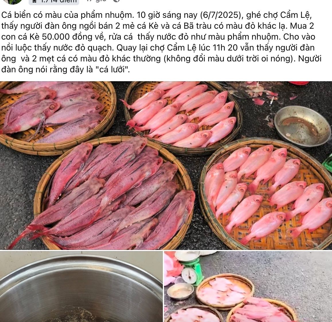 Cá 'nhuộm phẩm' ở Đà Nẵng, người bán giải thích là do được rửa bằng nước ngọt Sting