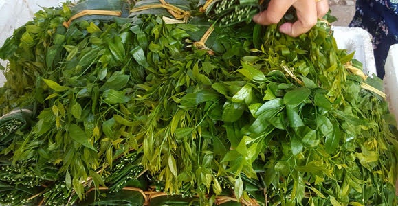 Rau ngót có giá 200.000 đồng/kg nhưng liên tục 'cháy hàng'