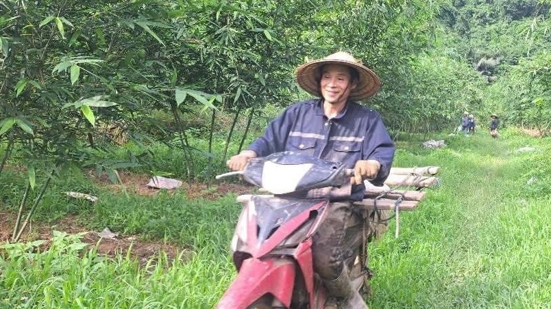 Nông dân Phú Thọ ‘phá vỡ lối mòn’ bỏ cam sang trồng cây được ví ‘lộc biếc’: Bán 45.000 đồng/kg, nuôi giấc mộng xuất khẩu sang Nhật