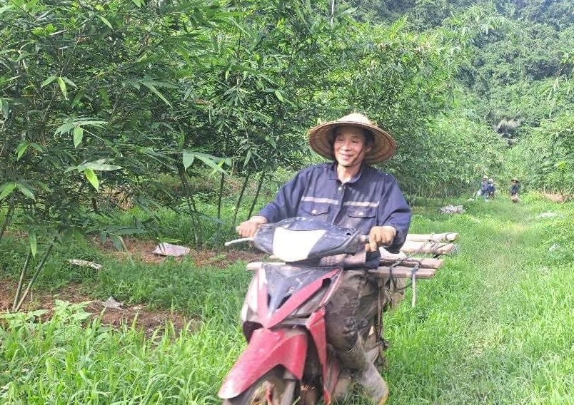 Nông dân Phú Thọ ‘phá vỡ lối mòn’ cây cam sang trồng cây được ví ‘lộc biếc’: Bán 45.000 đồng/kg, nuôi giấc mộng xuất khẩu sang Nhật