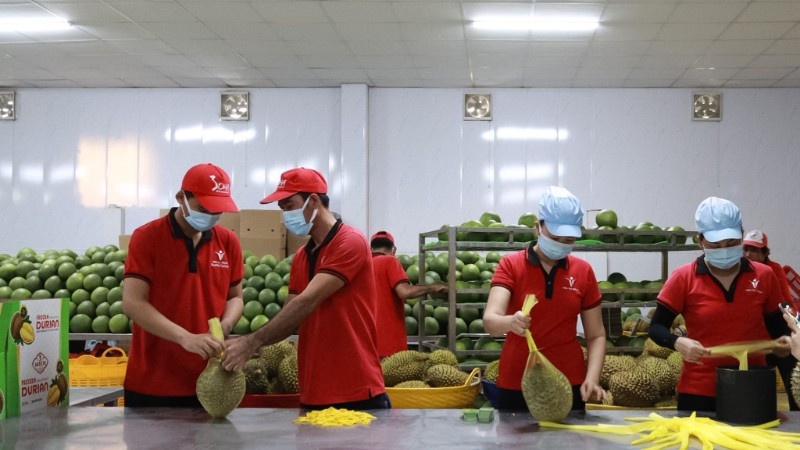 Xuất khẩu nông sản có thể đạt kỷ lục 70 tỷ USD trong năm nay