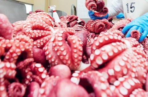 'Kho báu dưới đáy biển' của Việt Nam kỳ vọng thu 700 triệu đô, Hàn Quốc - Nhật Bản tranh nhau 'chốt đơn'